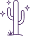 Desert  stargazing <br/> lawns