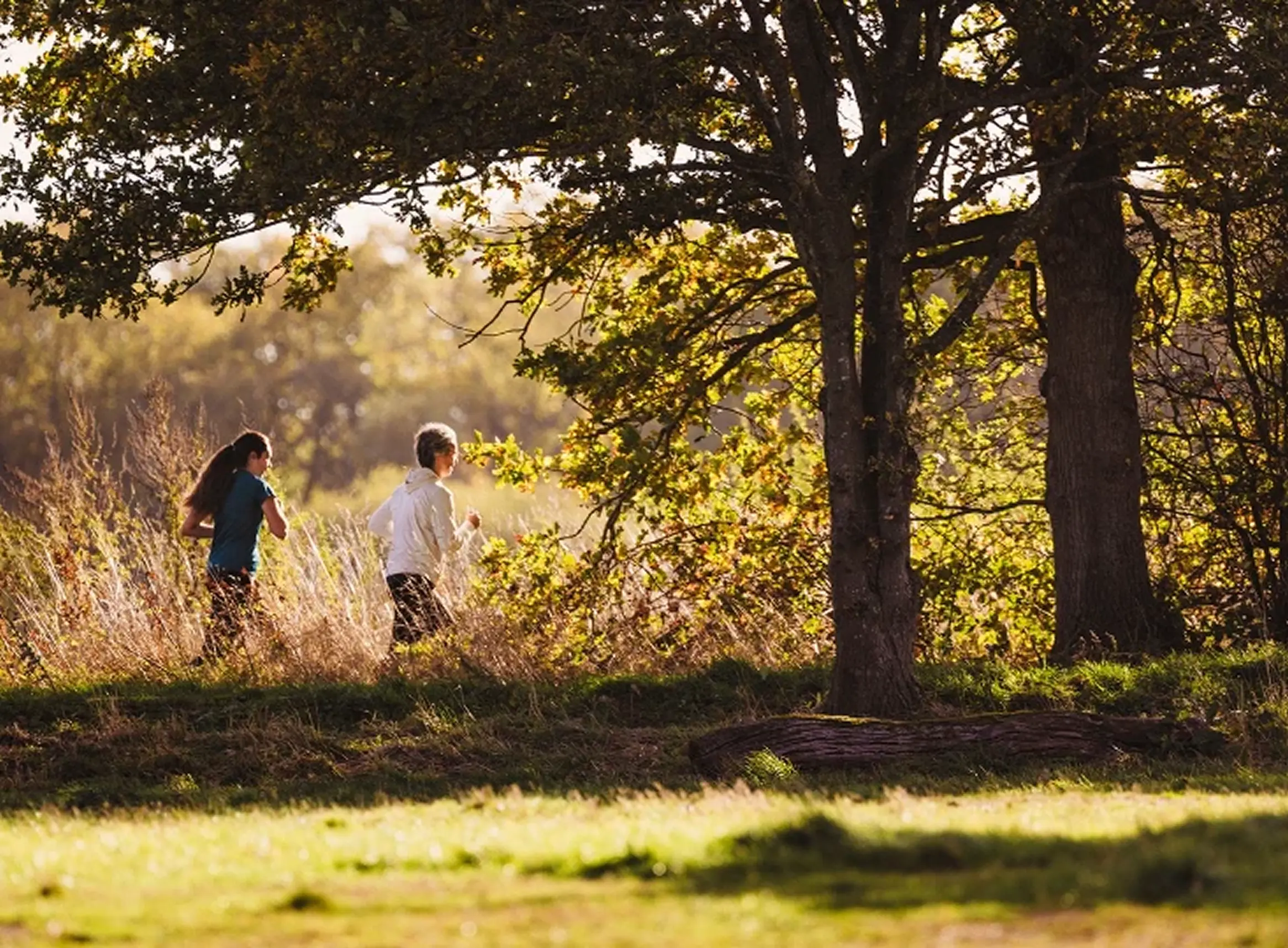 Wimbledon Feature Image