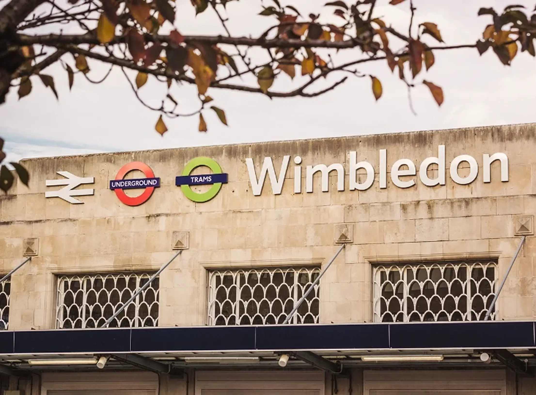 Wimbledon Feature Image