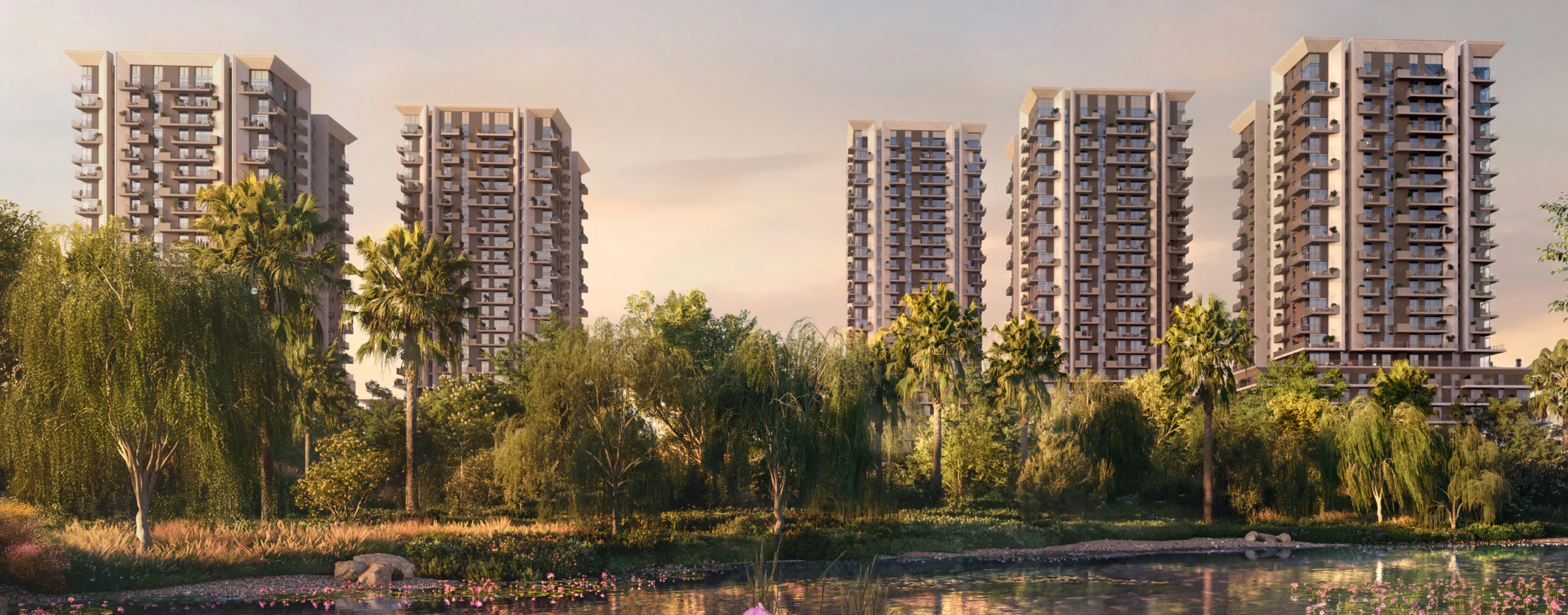 therow_saadiyat_aminites_banner